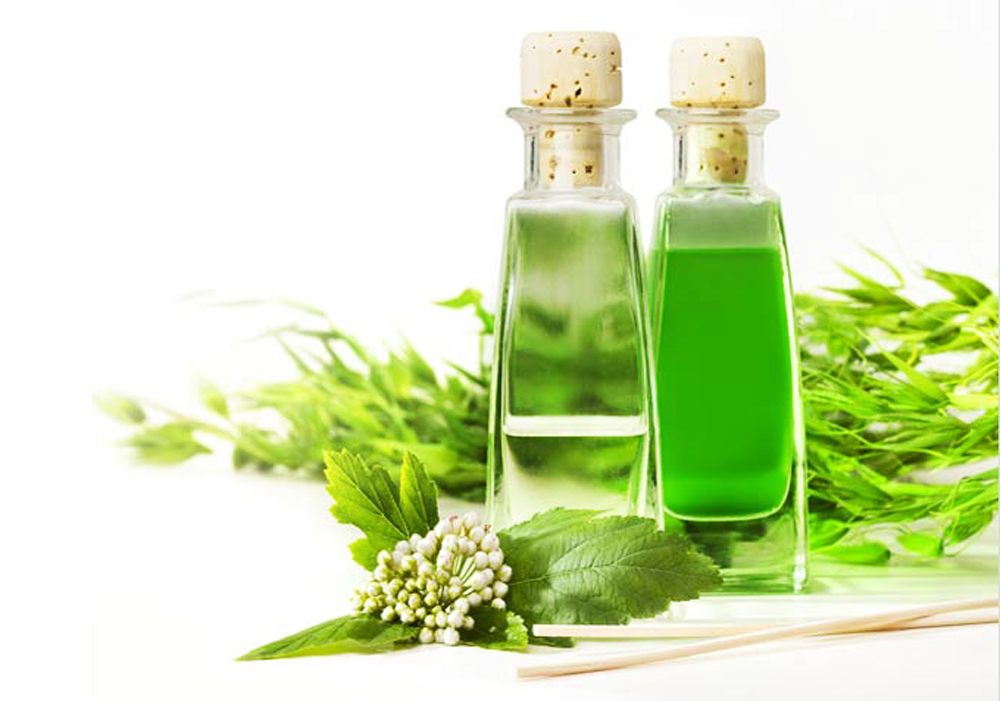 Tinh Dầu Tràm Organic
