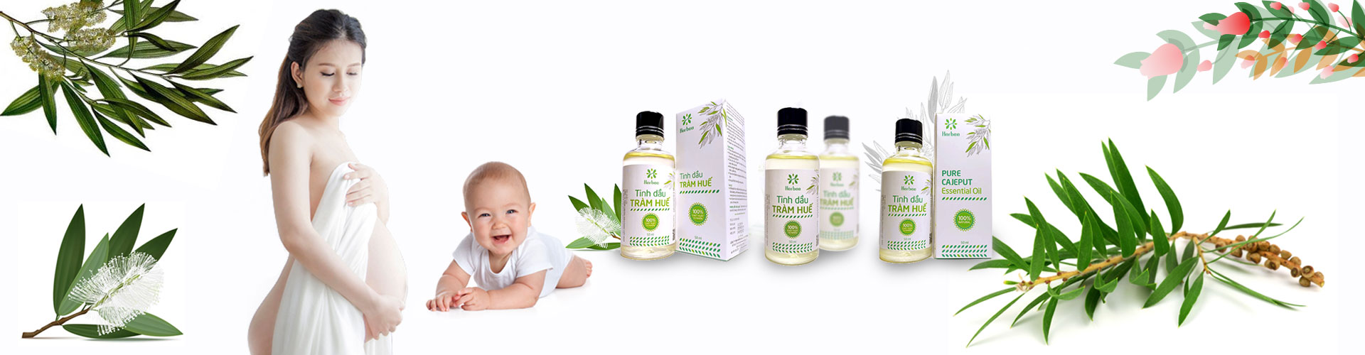 Tinh Dầu Tràm Huế Herbee