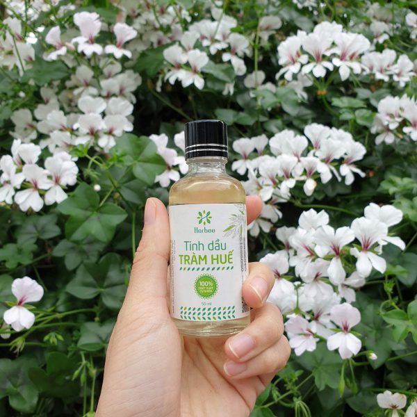 Tinh Dầu Tràm Huế Herbee
